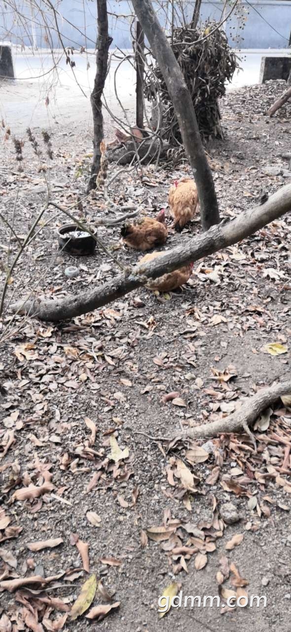 20191230_1859627_1577671234855.jpg