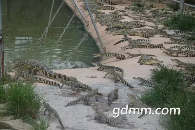 20191230_3298800_1577719873768.png