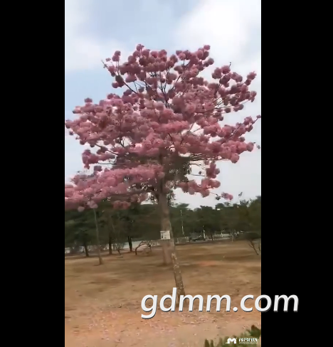 .png