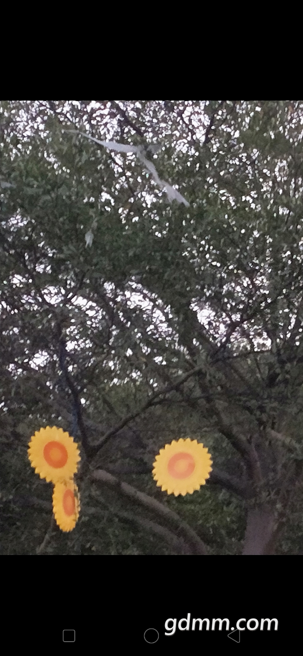 20200116_375653_1579172886749.png