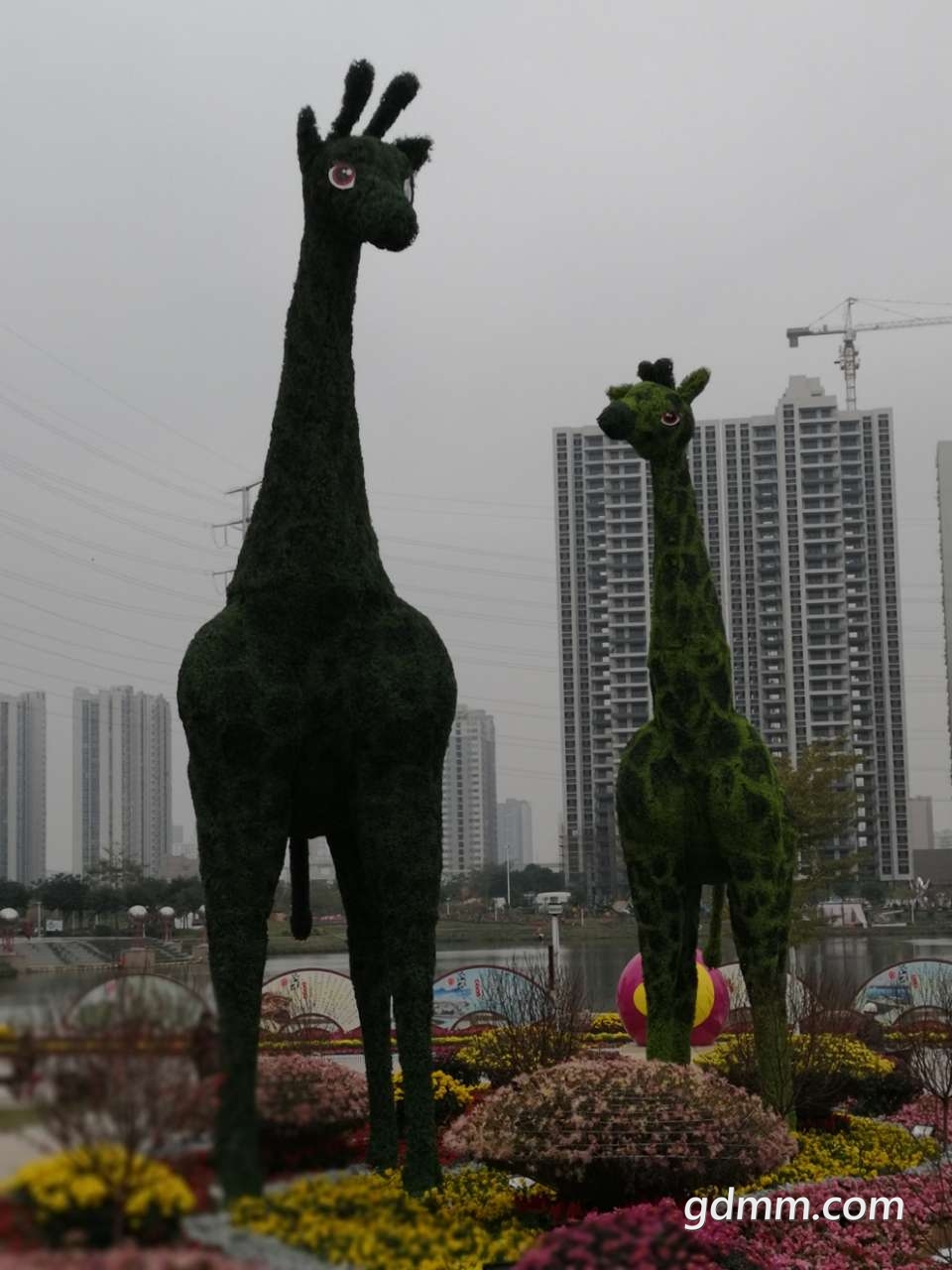 20200119_384782_1579422007538.jpg
