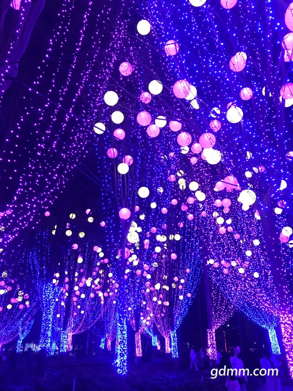 2020011932664081579441965994855.jpg