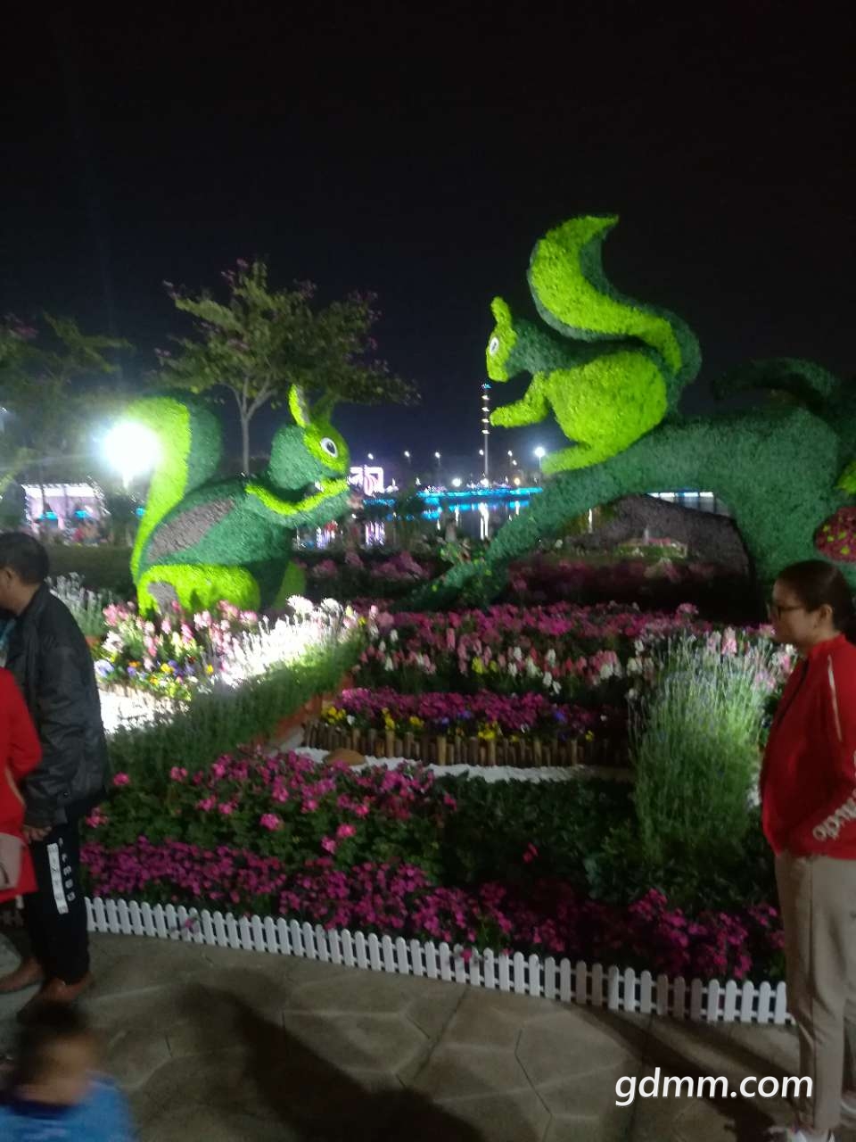 20200119_3253742_1579447441446.jpg