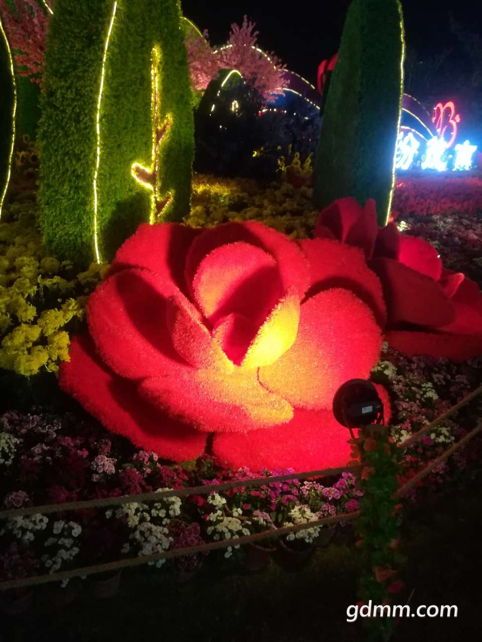 20200119_3253742_1579447443486.jpg