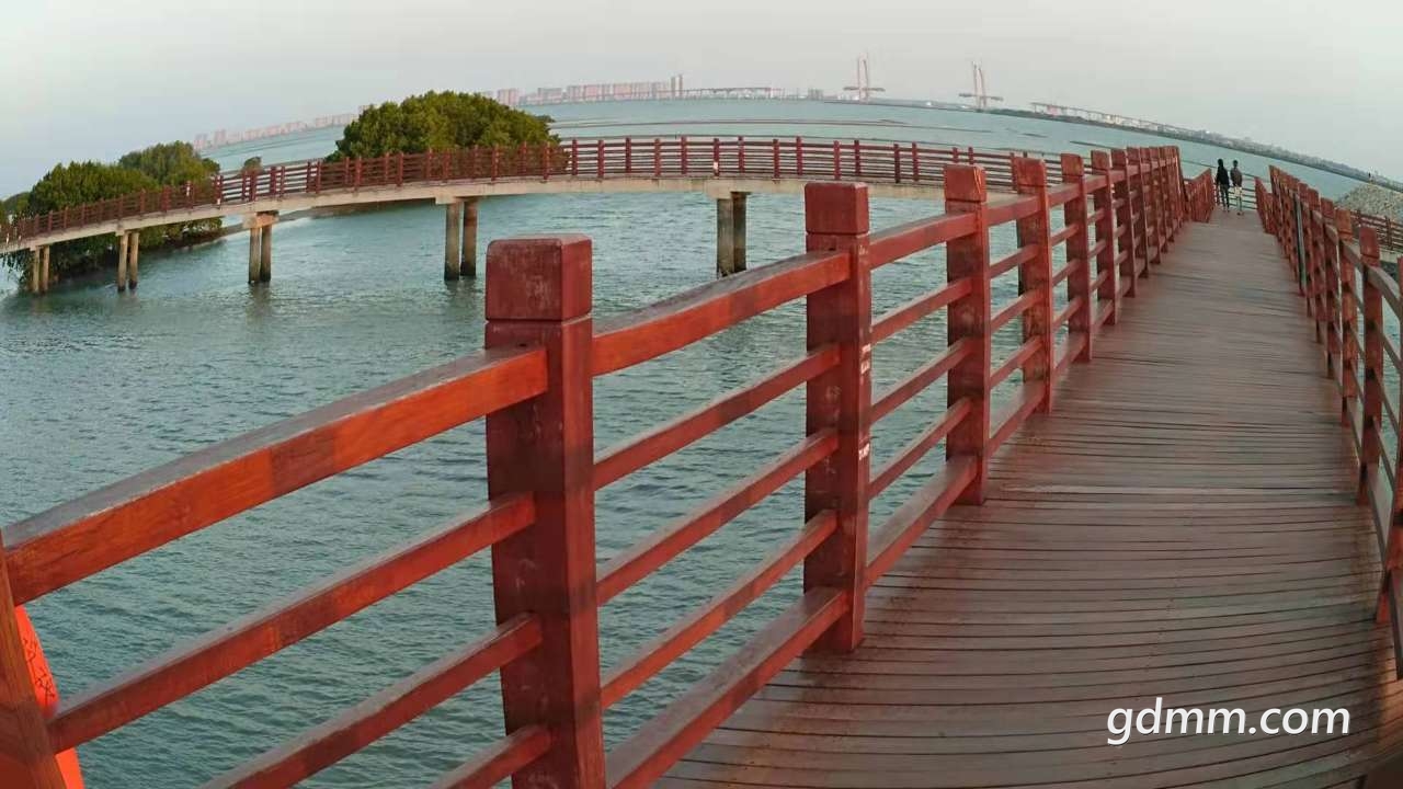 20200130_3247700_1580395484437.jpg