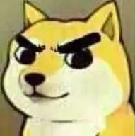 20200211_1982669_1581427894260.jpg