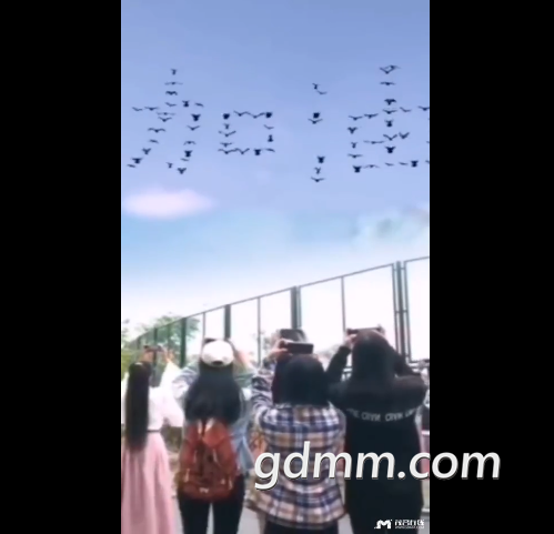 .png