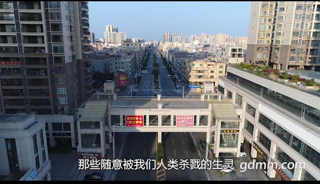 -3402b7f28e81033.png