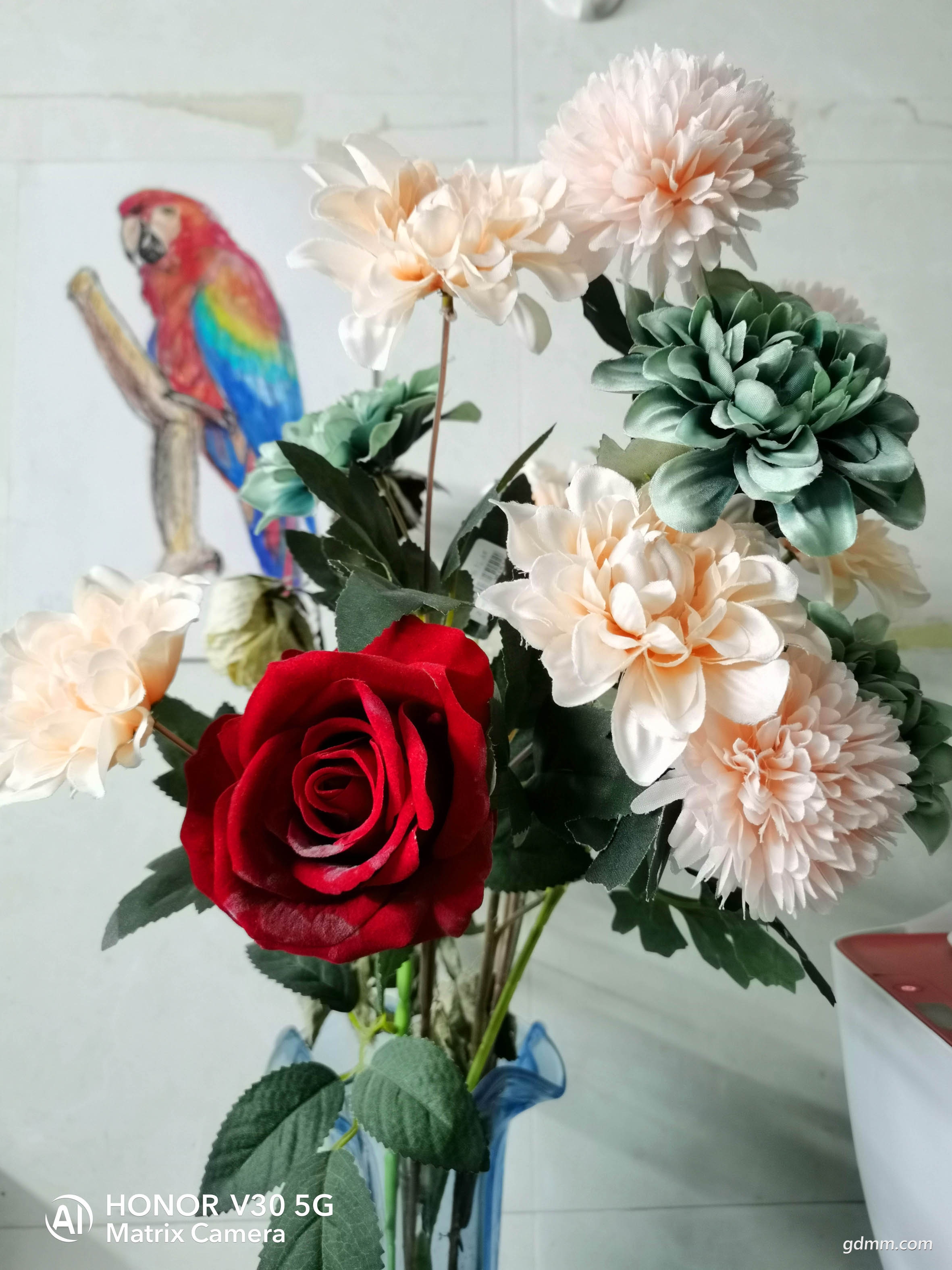 IMG_20200228_222751.jpg