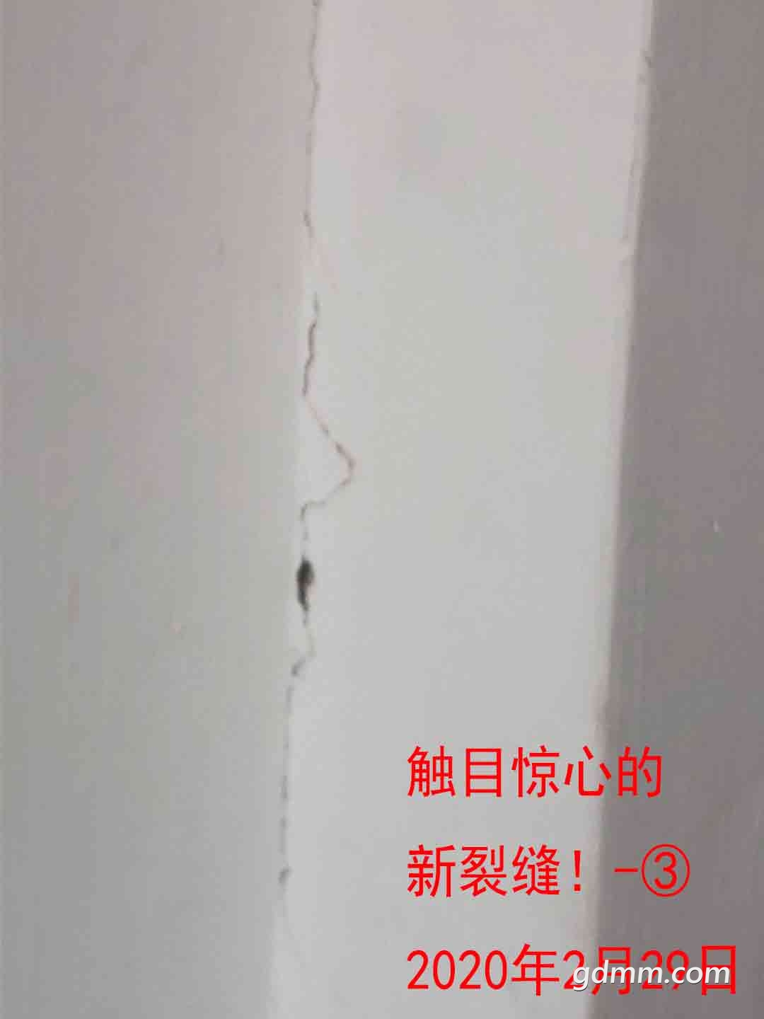Ŀĵѷ-3-2020229.jpg