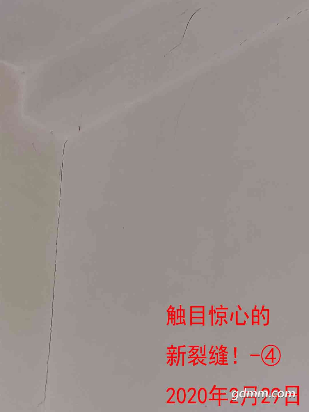 Ŀĵѷ-4-2020229.jpg