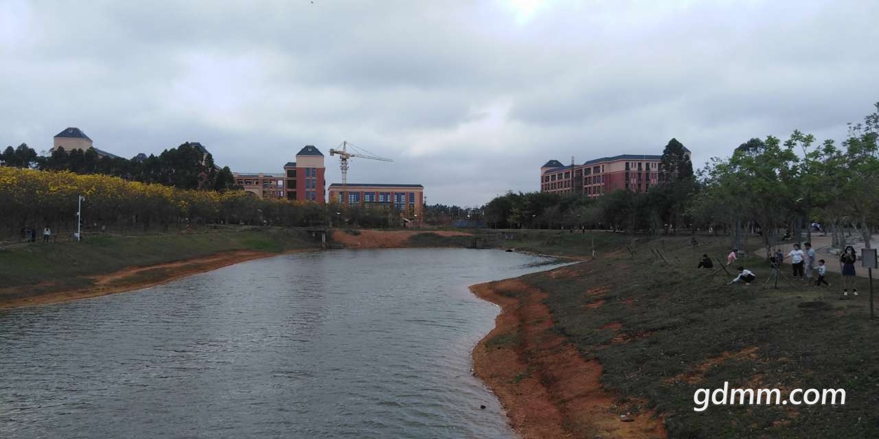20200308_3281776_1583648609618.jpg