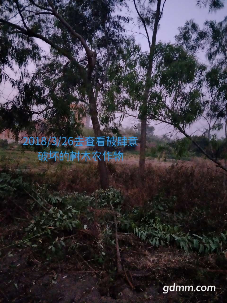 20200317_3299560_1584459548989.jpg