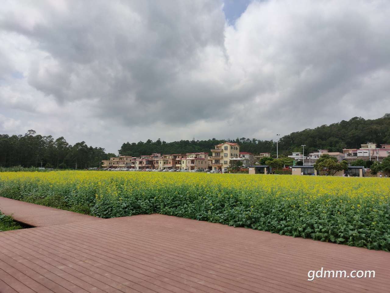 20200322_3256765_1584861858220.jpg