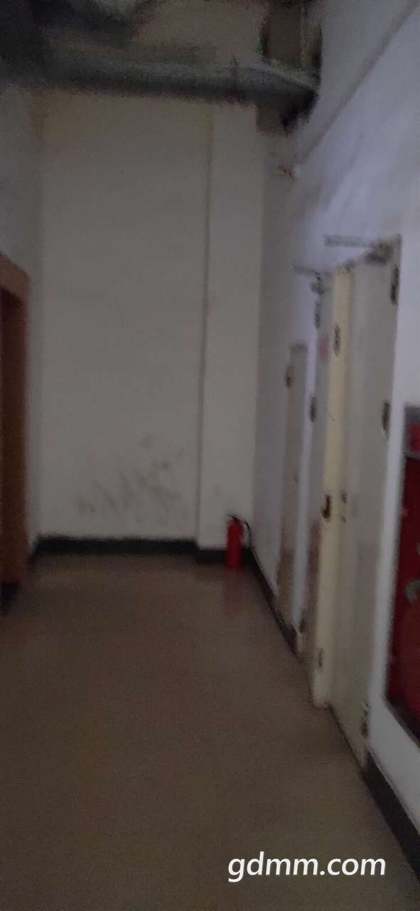 20200323_3291373_1584972557345.jpg