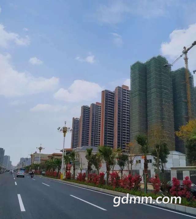20200407_3276639_1586267759616.jpg