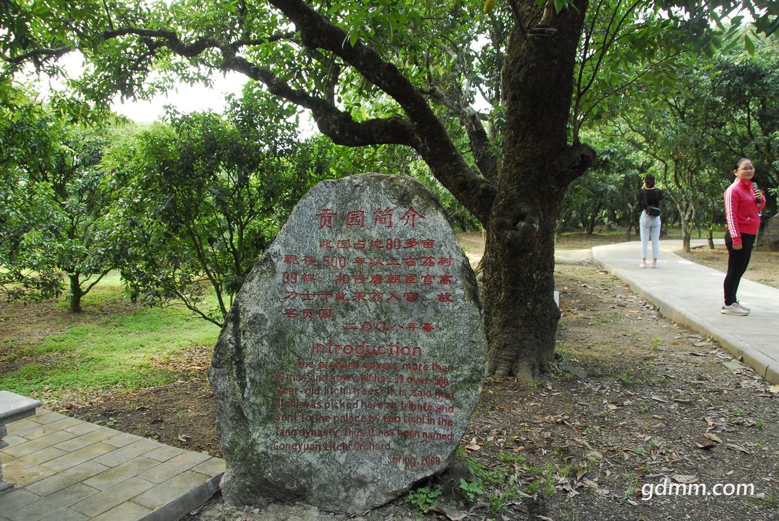 13.jpg