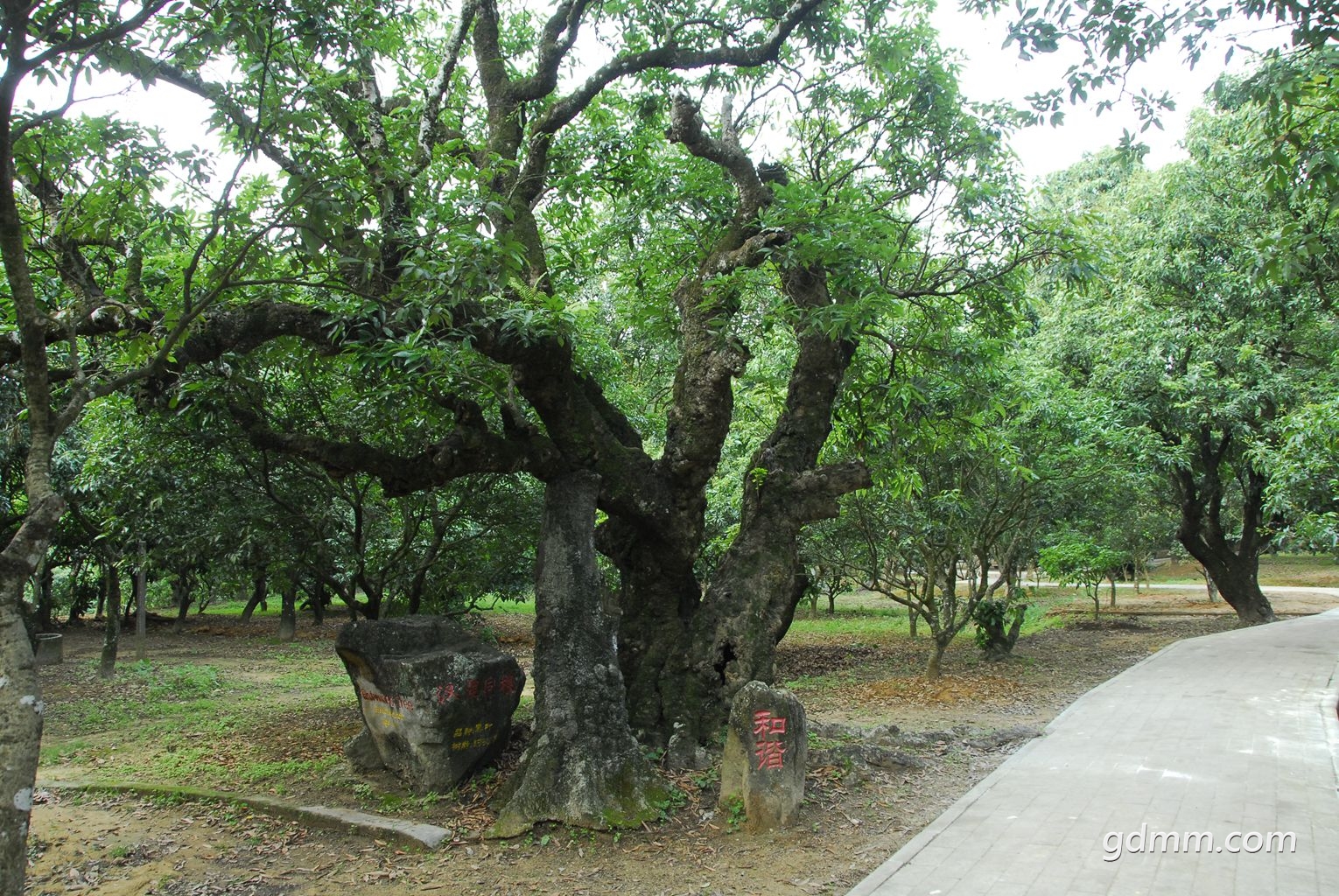 15.jpg