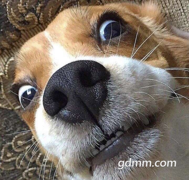 20200412_3276480_1586659190935.jpg