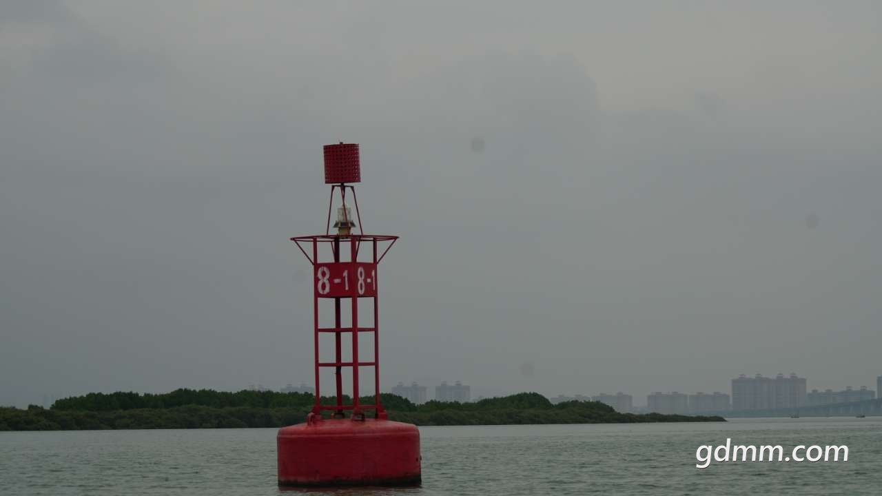 20200412_375653_1586672742409.jpg
