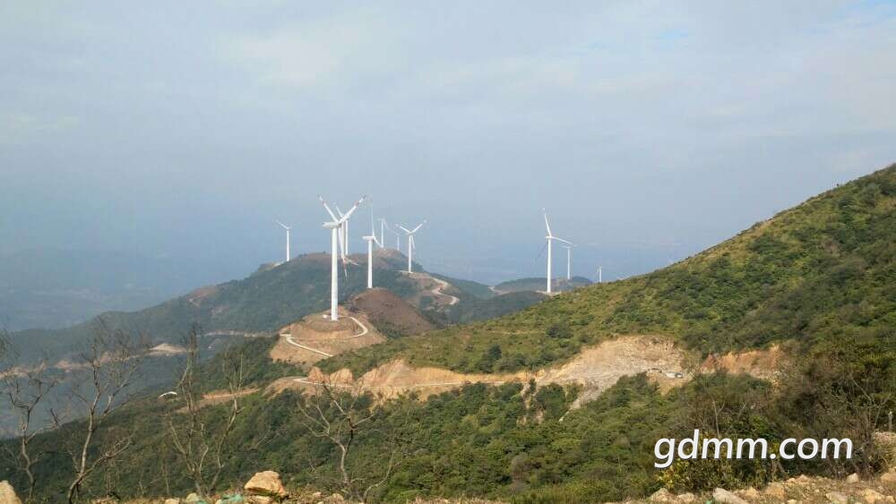 20200413_3335666_1586787057194.jpg