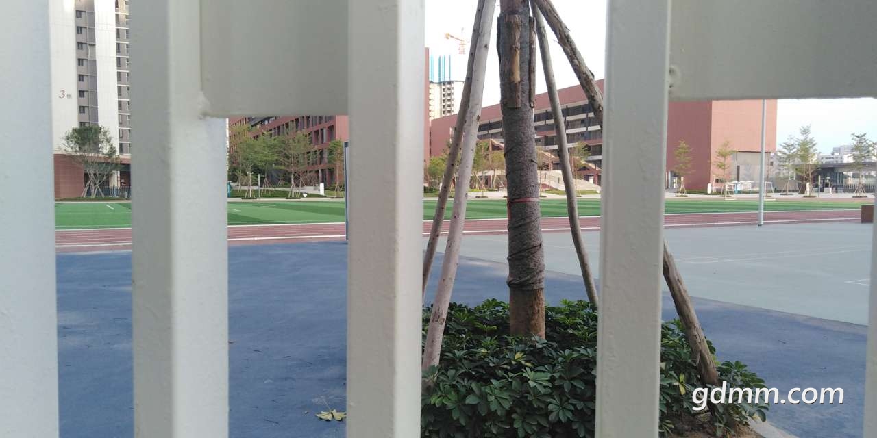 20200415_3281776_1586962203974.jpg