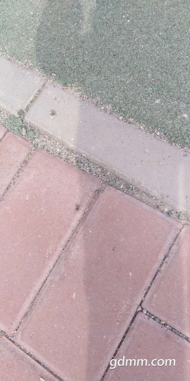 20200415_3281776_1586964494526.jpg