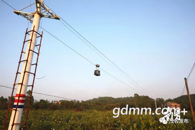 20200416_3298800_1587031121551.png