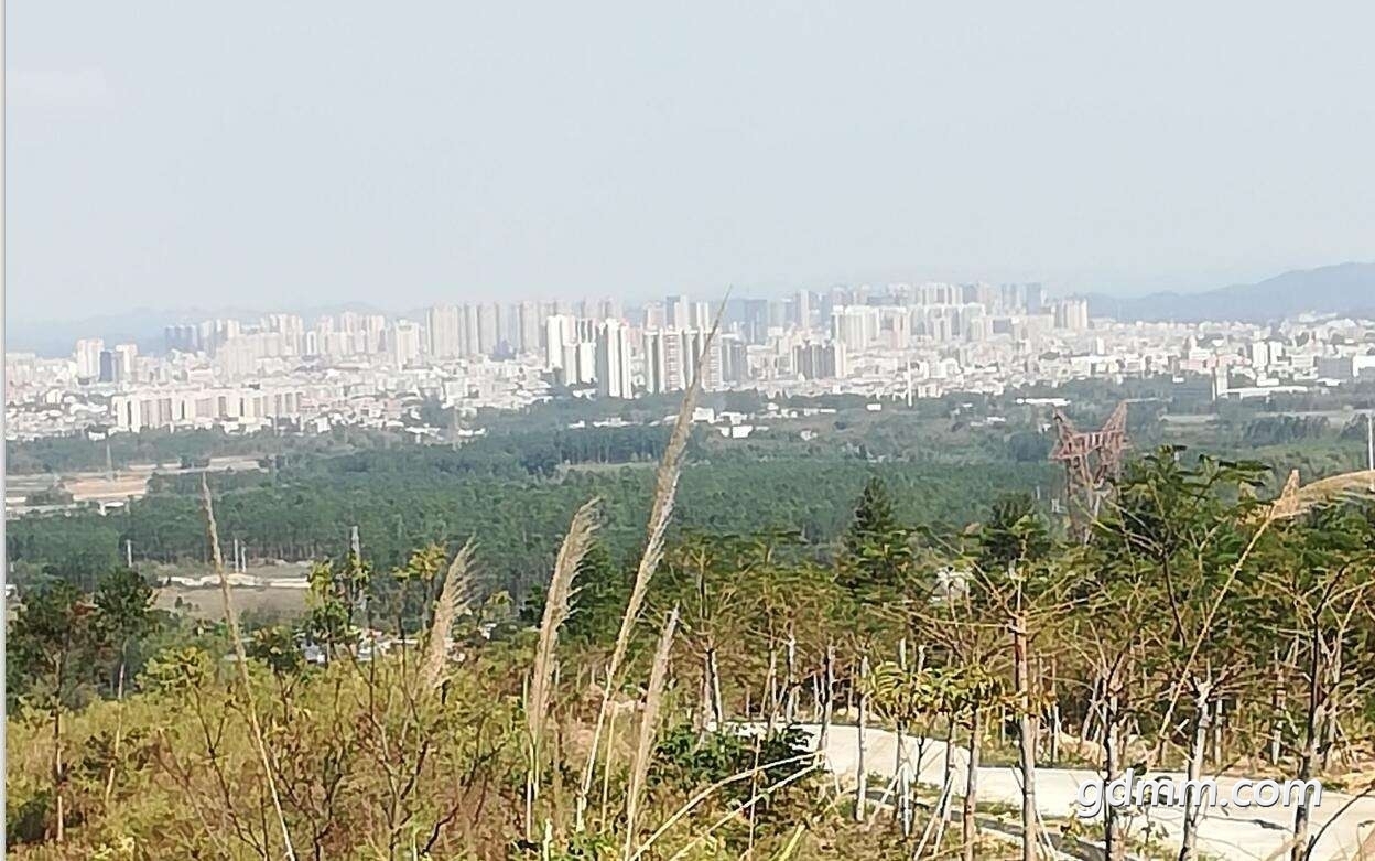 235512cm7l3v92v92go299.jpg