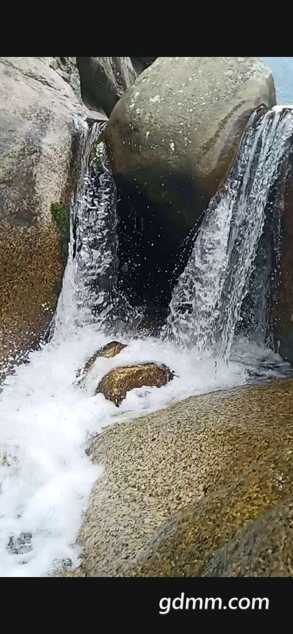 20200417_3295945_1587128049252.jpg