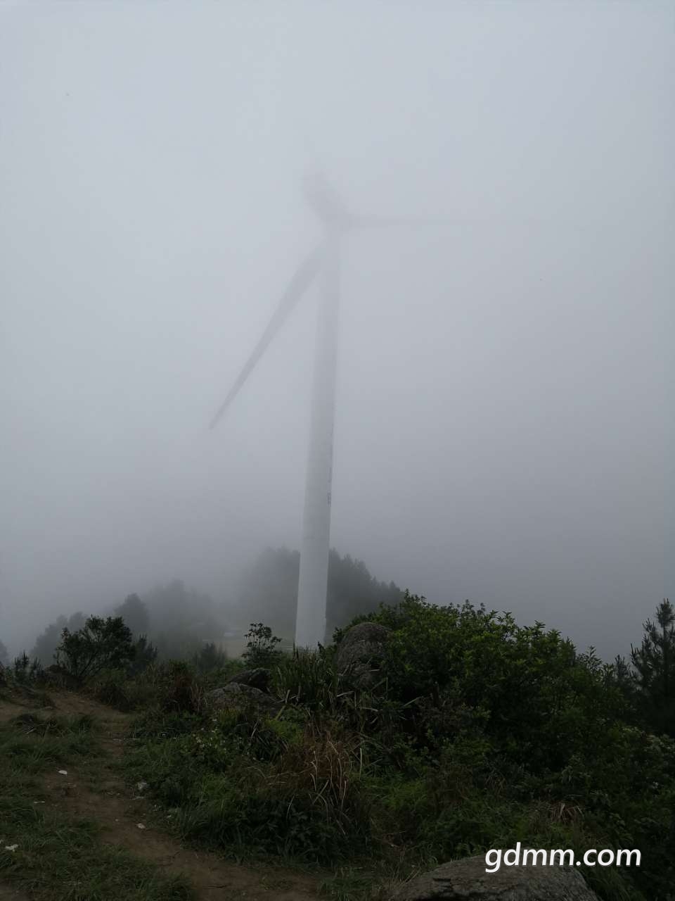 20200418_3335893_1587203076306.jpg