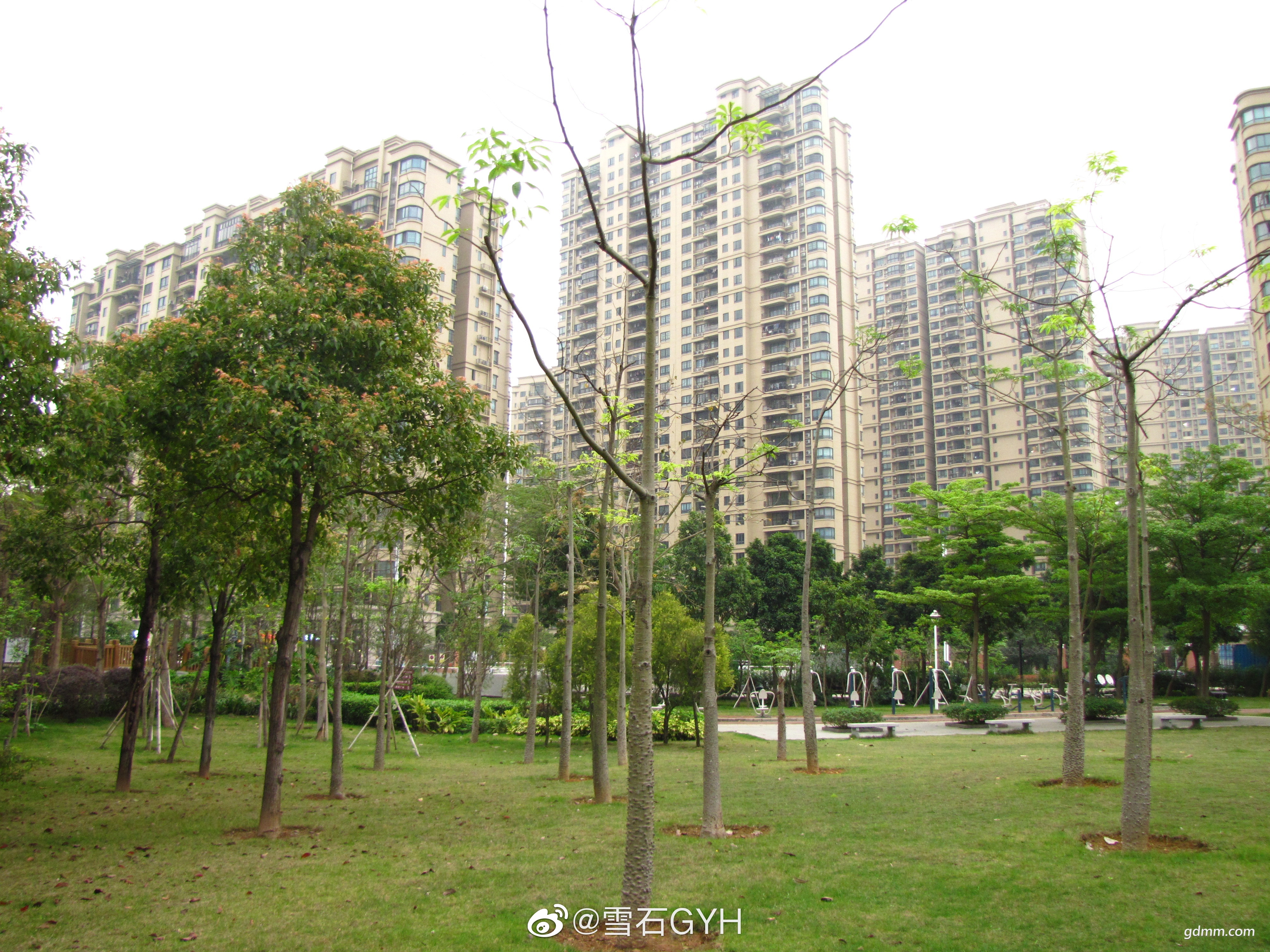 007lSh87gy1gdegg8c5plj33342bckjn.jpg