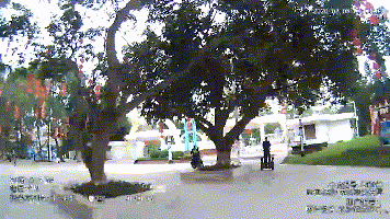 ��.gif
