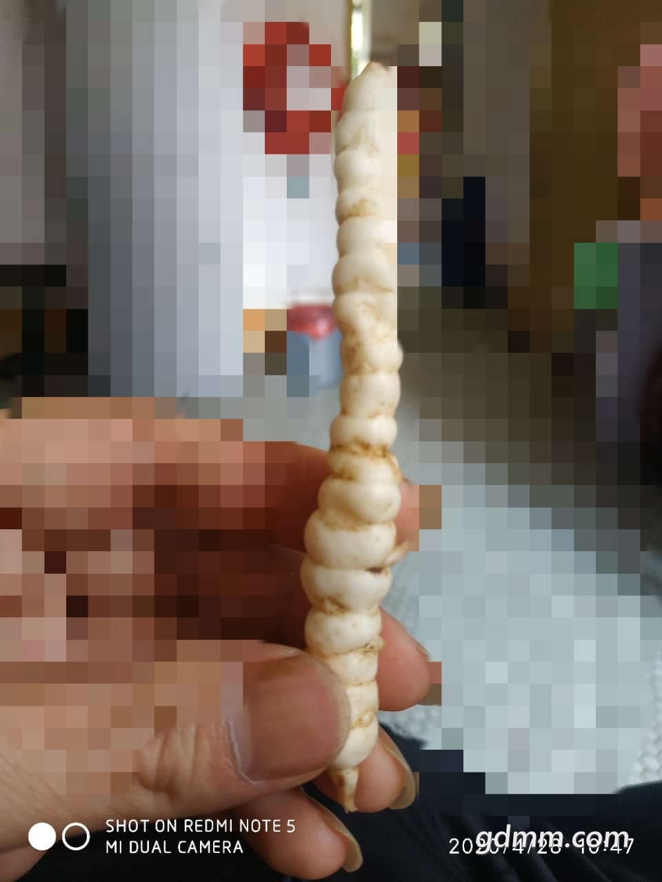 20200428_3280825_1588048706489.jpg