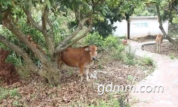 FtFgJlX3TWL-hUoR7DuG7G0Bg95Y.jpg