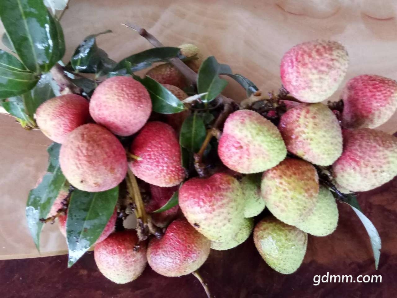 茂名荔枝首推香蜜荔电白网红应数阿平叔