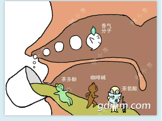 3.png