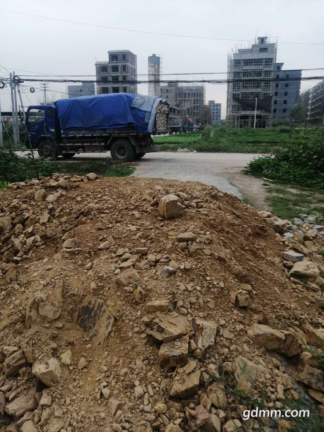 3535353.jpg
