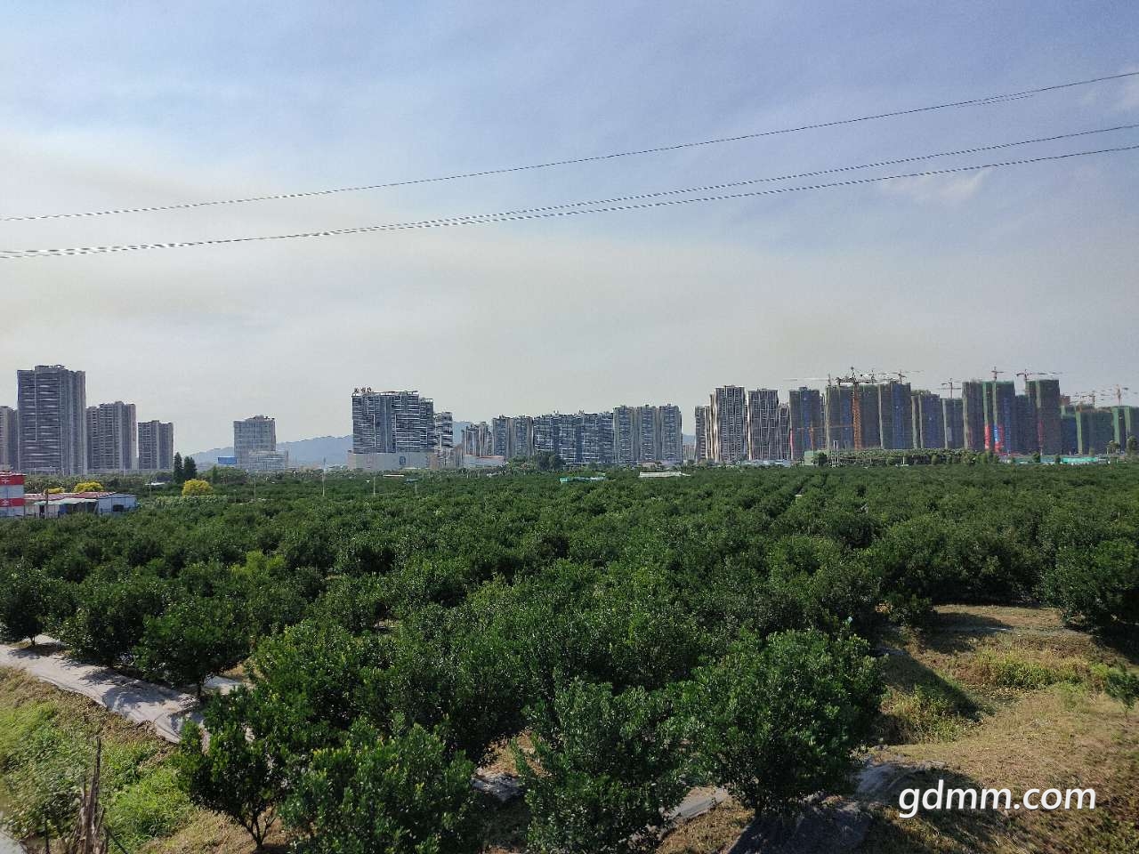 20200505_3256765_1588668448509.jpg