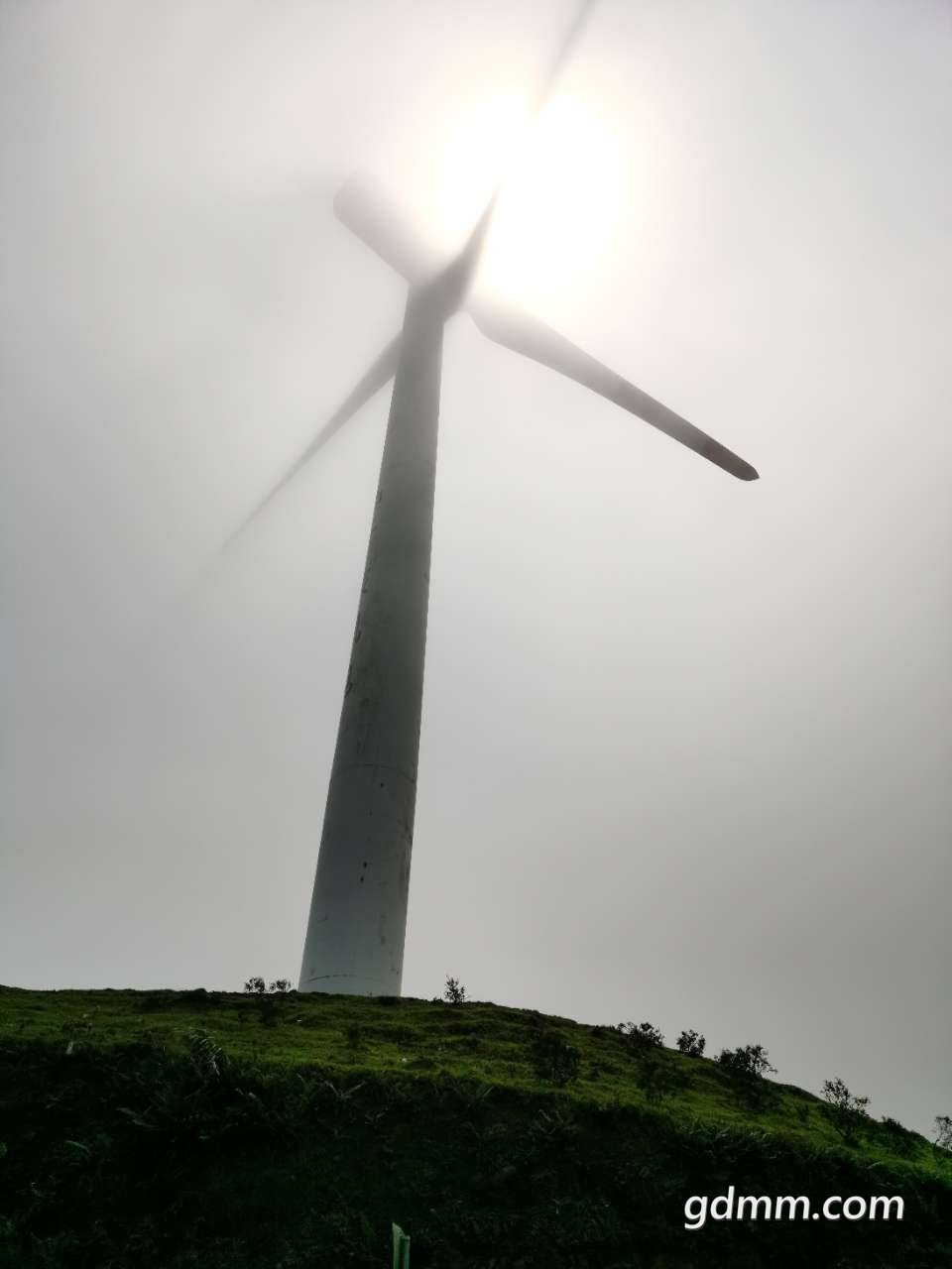 20200505_3335893_1588691019488.jpg