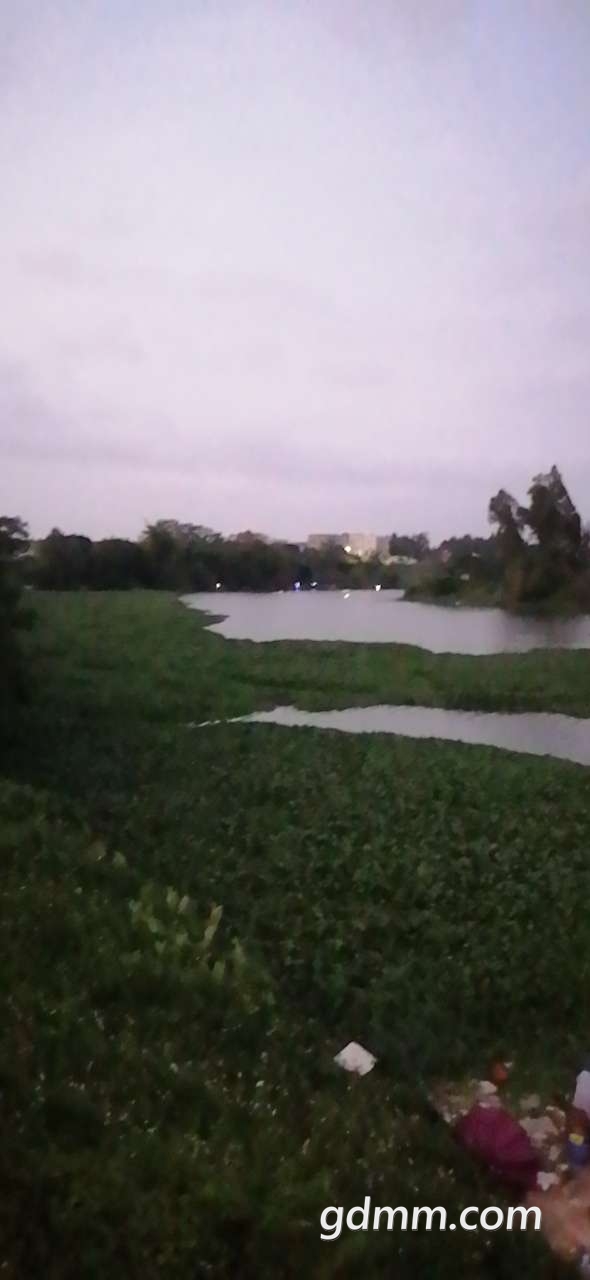20200509_3276128_1589023755723.jpg