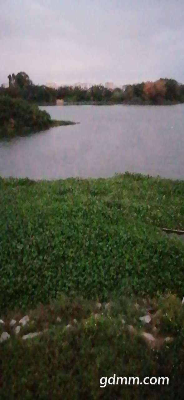 20200509_3276128_1589023755771.jpg