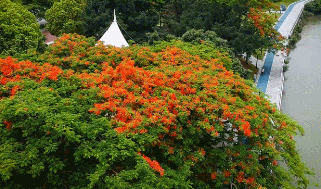20200524_3256765_1590319315940.gif