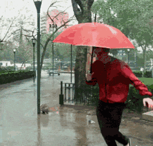 20200525_3291373_1590416599819.gif