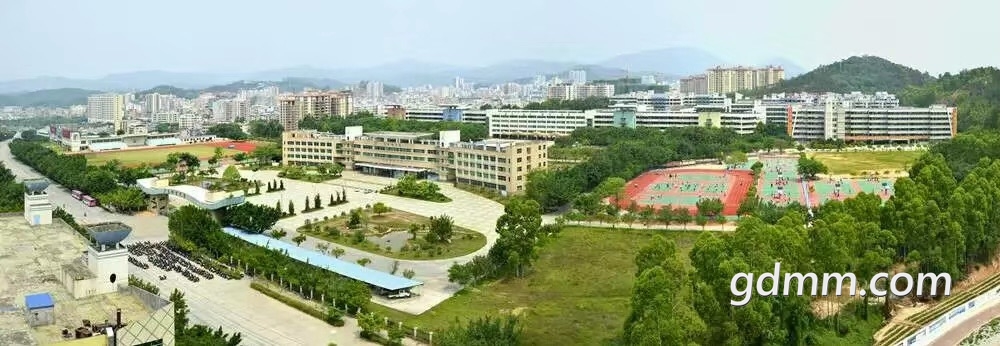 FtgjR7erna8SXkzU85Vn4Nm50Ky9.jpg