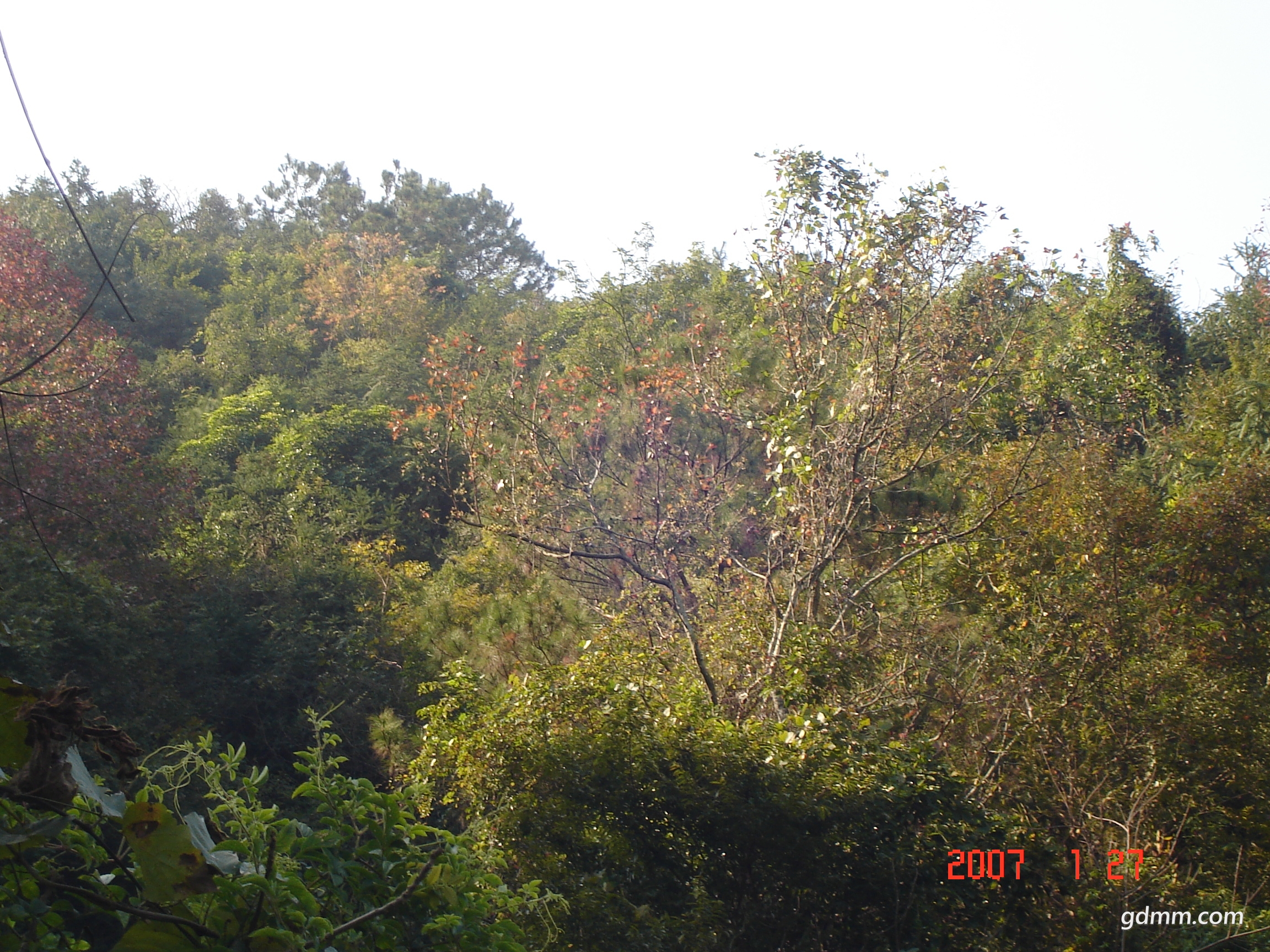 DSC07676.JPG