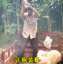 20200605_3276915_1591361918184.gif