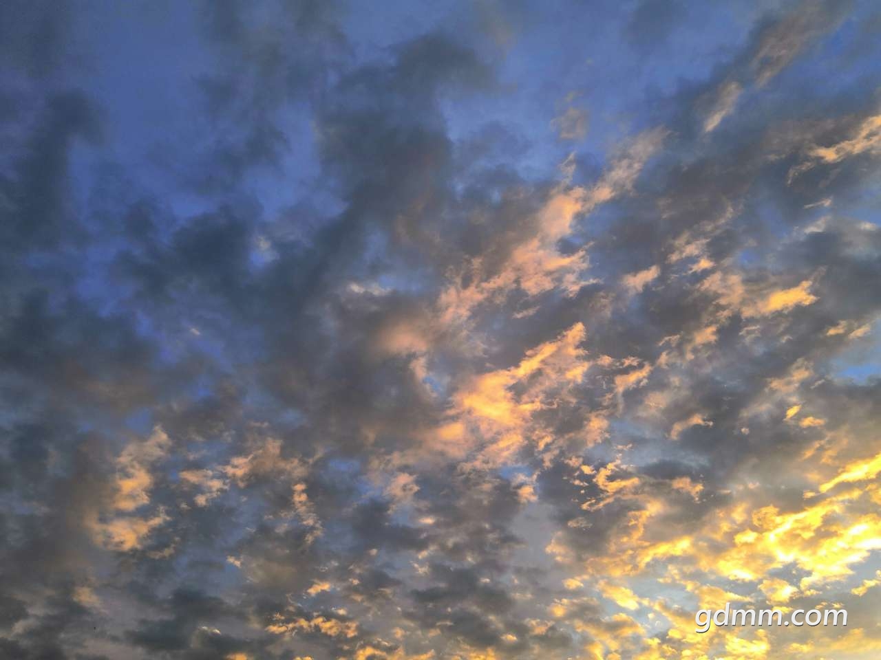 20200606_3336250_1591422761794.jpg
