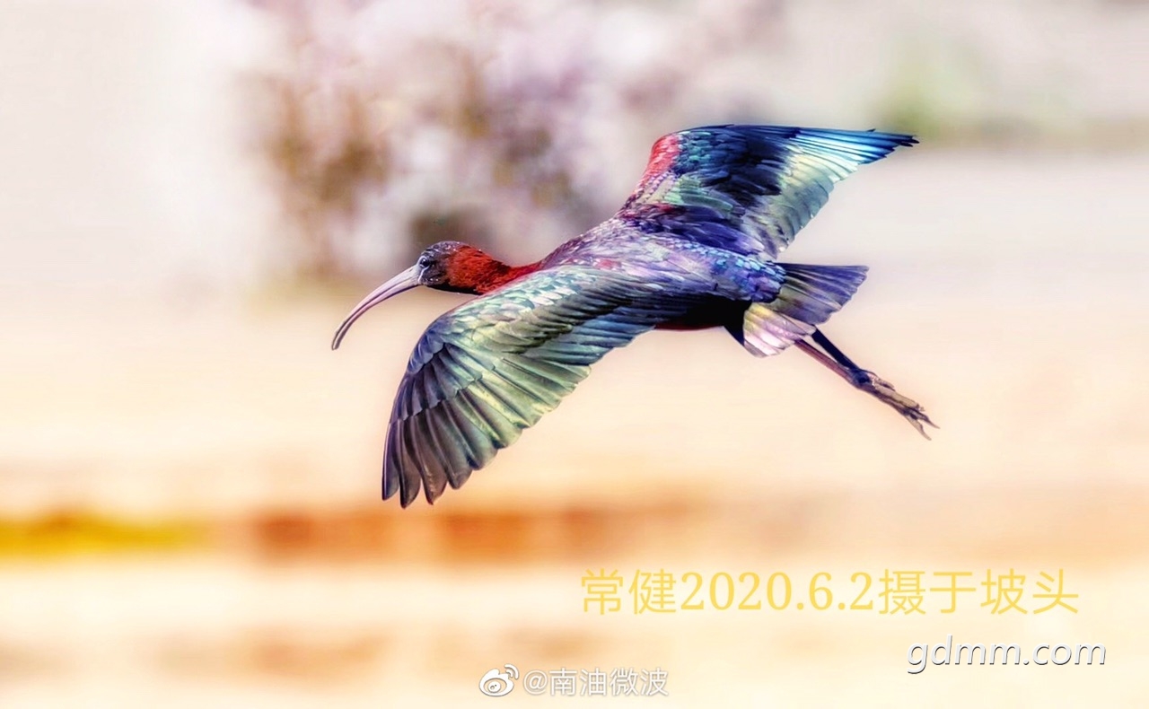 FgJ2EvzOWu3Gyk-LkRgrOTPEB9UQ.jpg