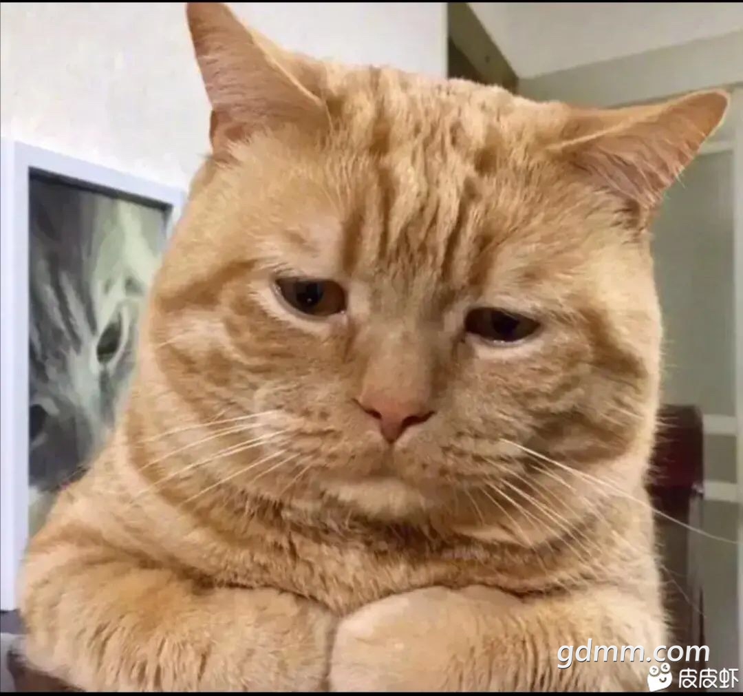 FuiEE__Qgm_CQrU5LVYKgIbK2nJN.jpg